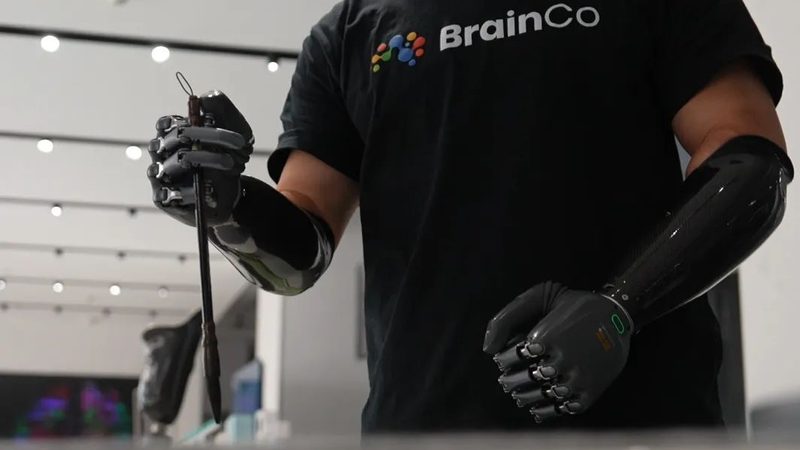 标准实施：政务信息化建设标准规范的实施，应当遵循以下原则：